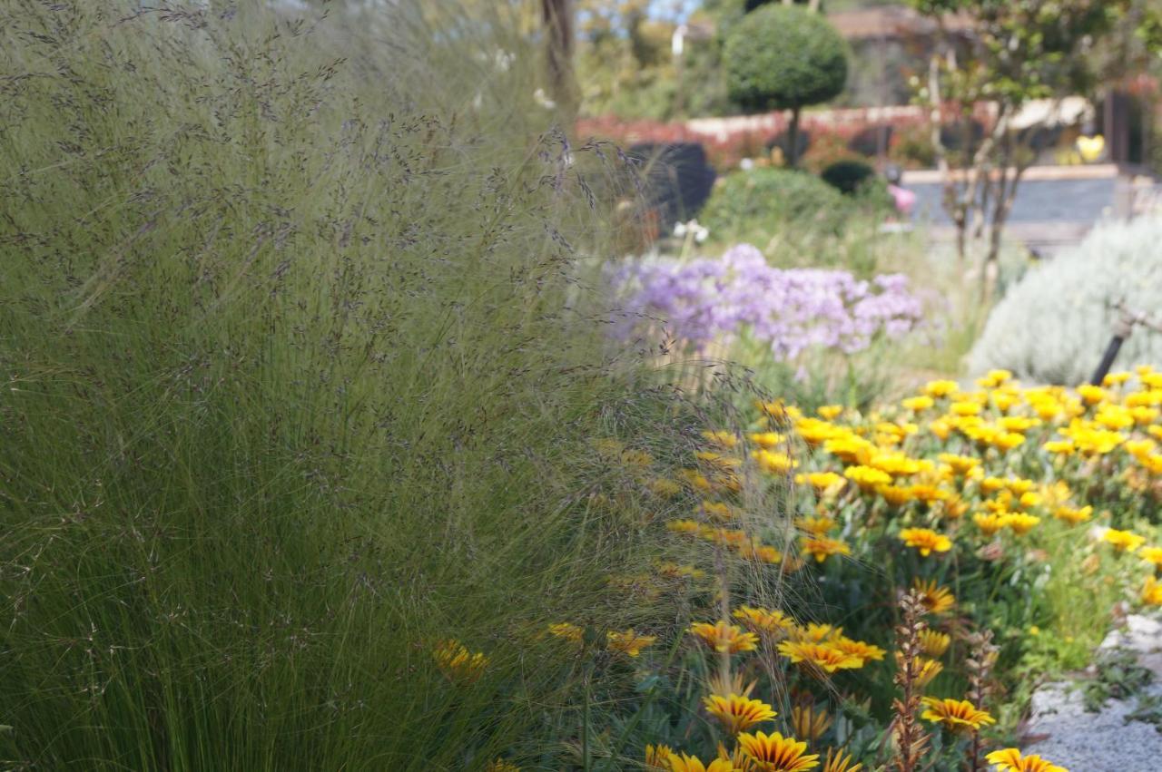 Les Jardins De Santa Giulia - Charmante Chambre D'Hote Porto-Vecchio  Dış mekan fotoğraf